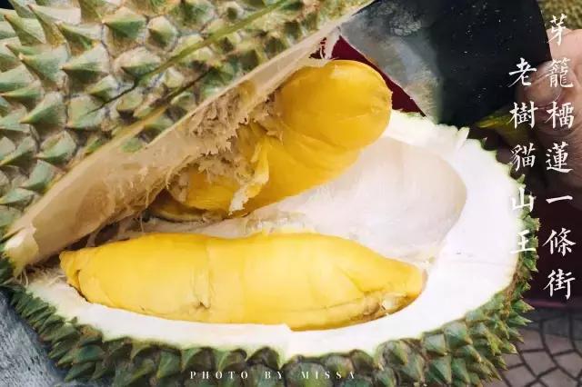 在新加坡吃日本料理,新加坡美食之旅