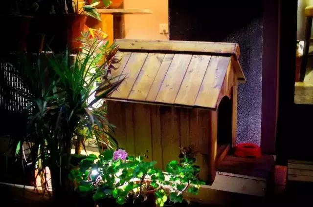 贵阳最有氛围的小酒吧,贵阳有格调的小酒吧