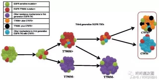 对AZD9291耐药的肺癌，到底该怎么办？