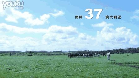 来自澳洲的补钙神器，40盒牛奶，它一袋就可以搞定