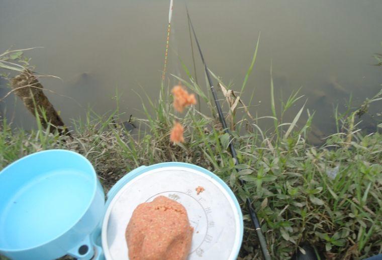 喜中大板鲫,餐条特别多如何钓鲫鱼
