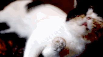 贵阳最有氛围的小酒吧,贵阳有格调的小酒吧