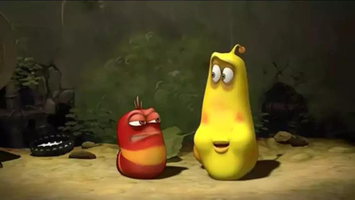 水槽里出现这种像蚂蟥的软体虫，真的得关注了！