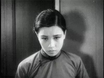 野草闲花逢春生完整版,野草闲花逢春生背后的故事