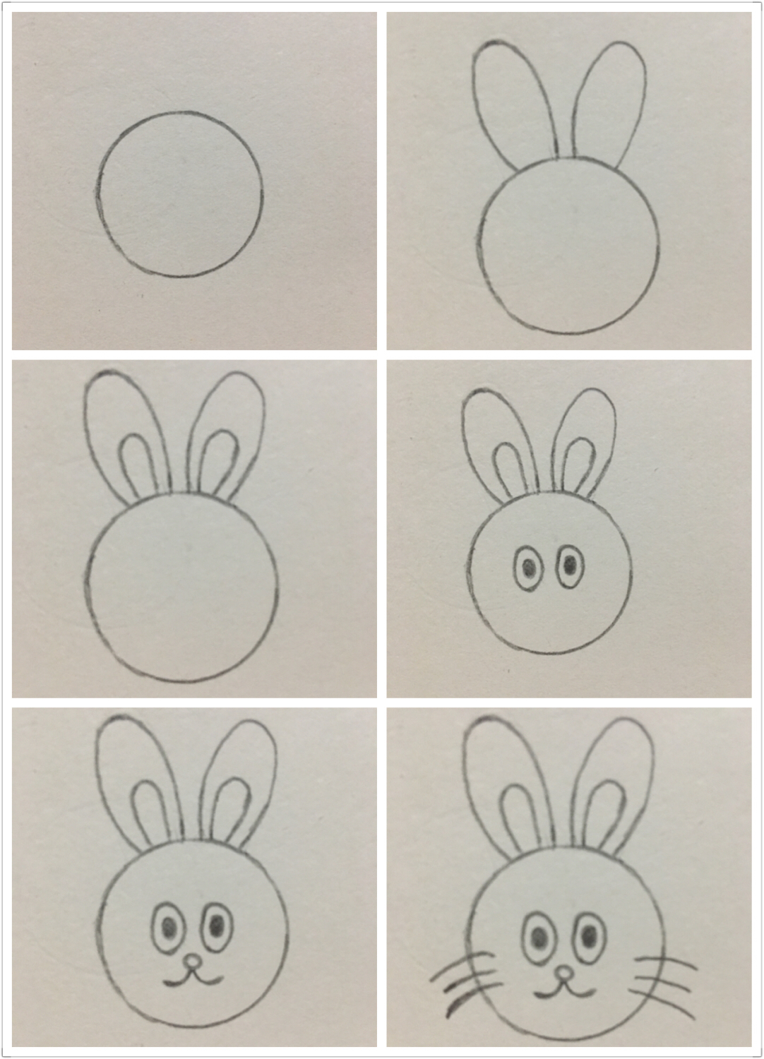 硬币画小羊简笔画,硬币画动物简笔画