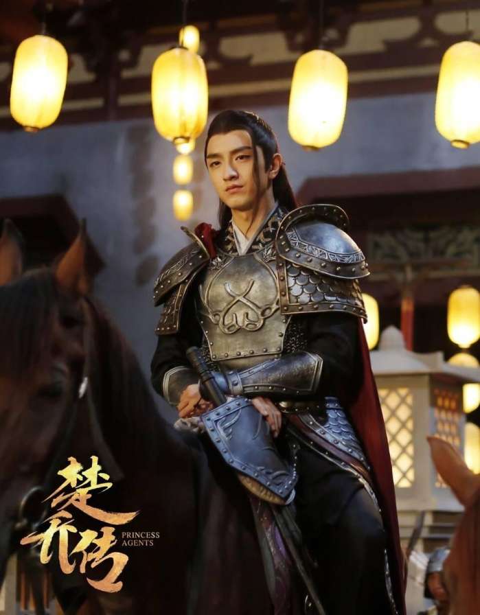 叱云南赵西风厉致诚金瀚,楚乔传里面的金瀚扮演者