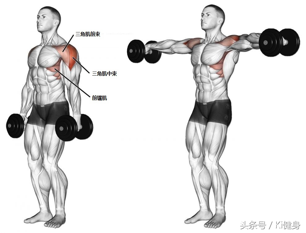 哑铃侧平举怎么避免斜方肌发力,哑铃侧平举最佳方法