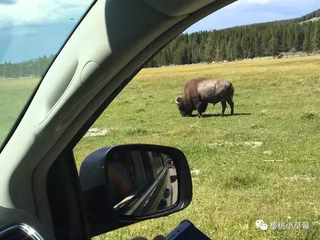 美国租车自驾游全攻略,美国自驾游租车攻略大全