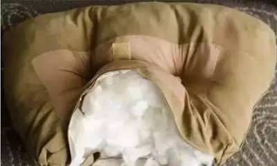 沙发塌陷用一物填充马上恢复如新，几个枕头就能做出舒适的榻榻米？