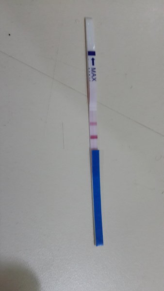 孕12周nt检查需要准备什么,12周nt胎心率169正常吗