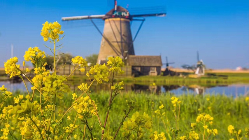 老司机带你玩转旅游美食,老司机带你玩泰国