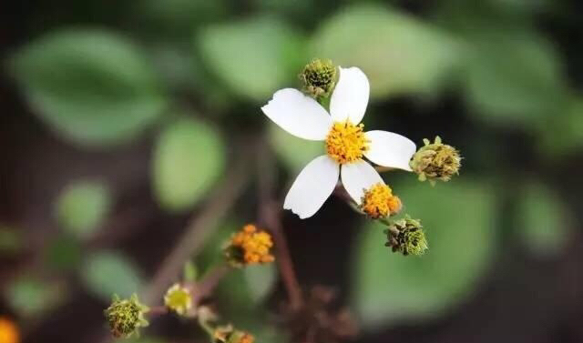 杭州人看看怎么样花最少的钱清理血管，看懂了可以教身边的人