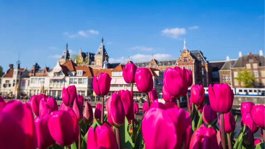 老司机带你玩转旅游美食,老司机带你玩泰国