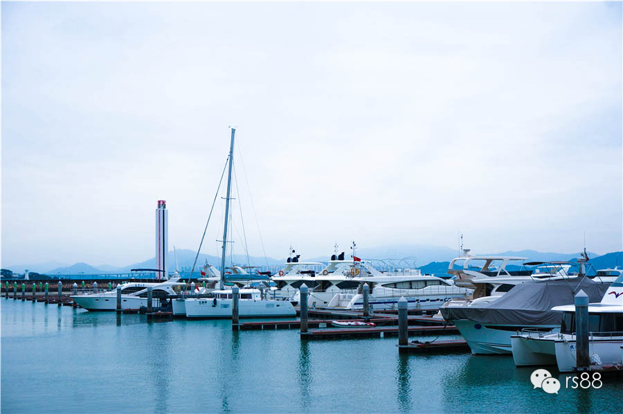 42鑻卞昂璞崕娓歌墖涔嬫梾,rs-88