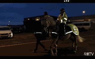 除了“肉身翻墙”，其实还可以这样出国看球