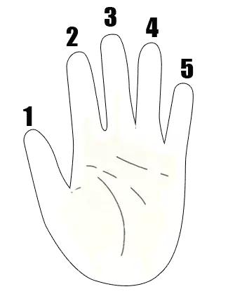 芜湖人约吗?2016年我要在家门口乘高铁去听你的演唱会！