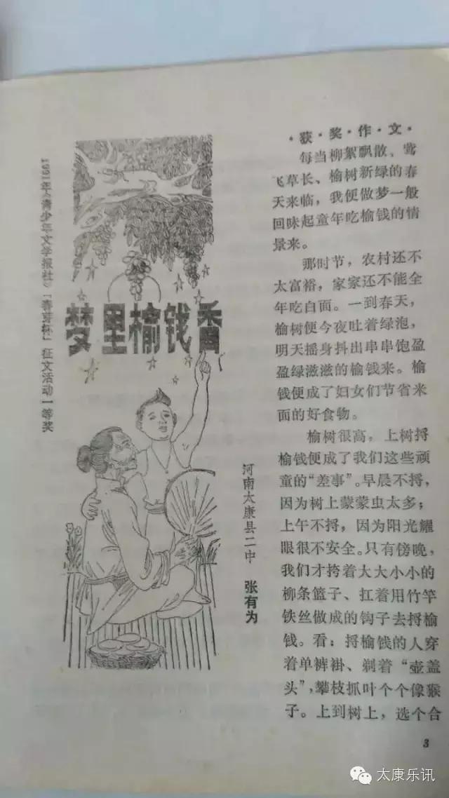 （太康记忆）二十年前的味道：梦里榆钱香