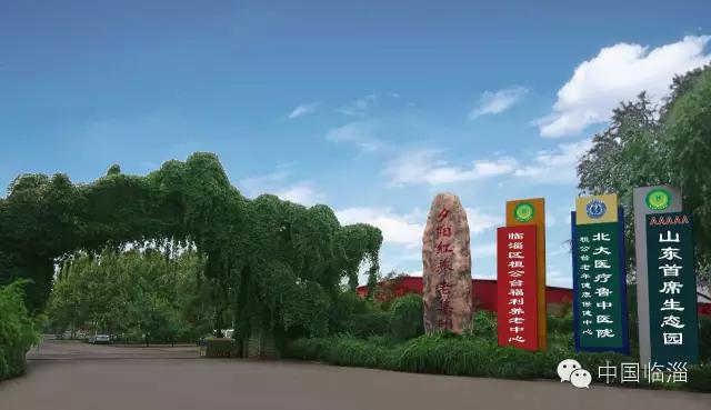 临淄现代农业产业园项目,临淄2023重点项目