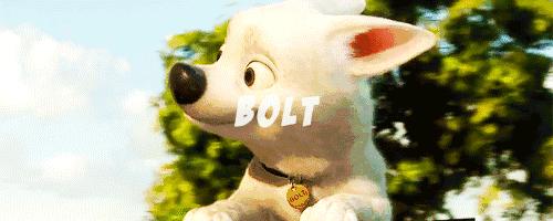 疯狂动物城那些你不知道的细节,疯狂动物城到底值得一去吗