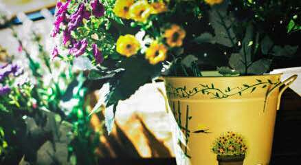 女王你好视频完整版,女王你好原创