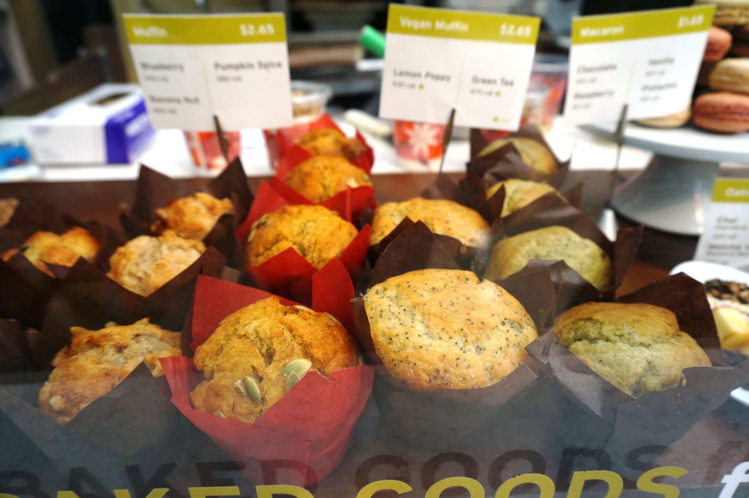 芝加哥一日游最佳路线,芝加哥坐船攻略旅游路线