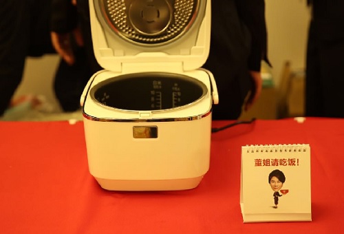 国内电饭煲国外能用吗,中国出口电饭煲