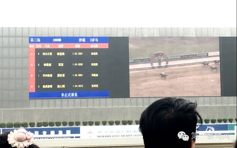 快跑100米用多少秒,快跑1000米