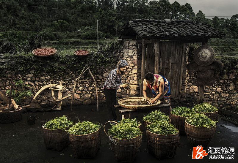 传说中的世外桃源：走进千年土家长寿村
