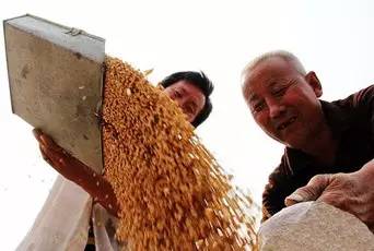 丰收白条：给农民办张无形的信用卡