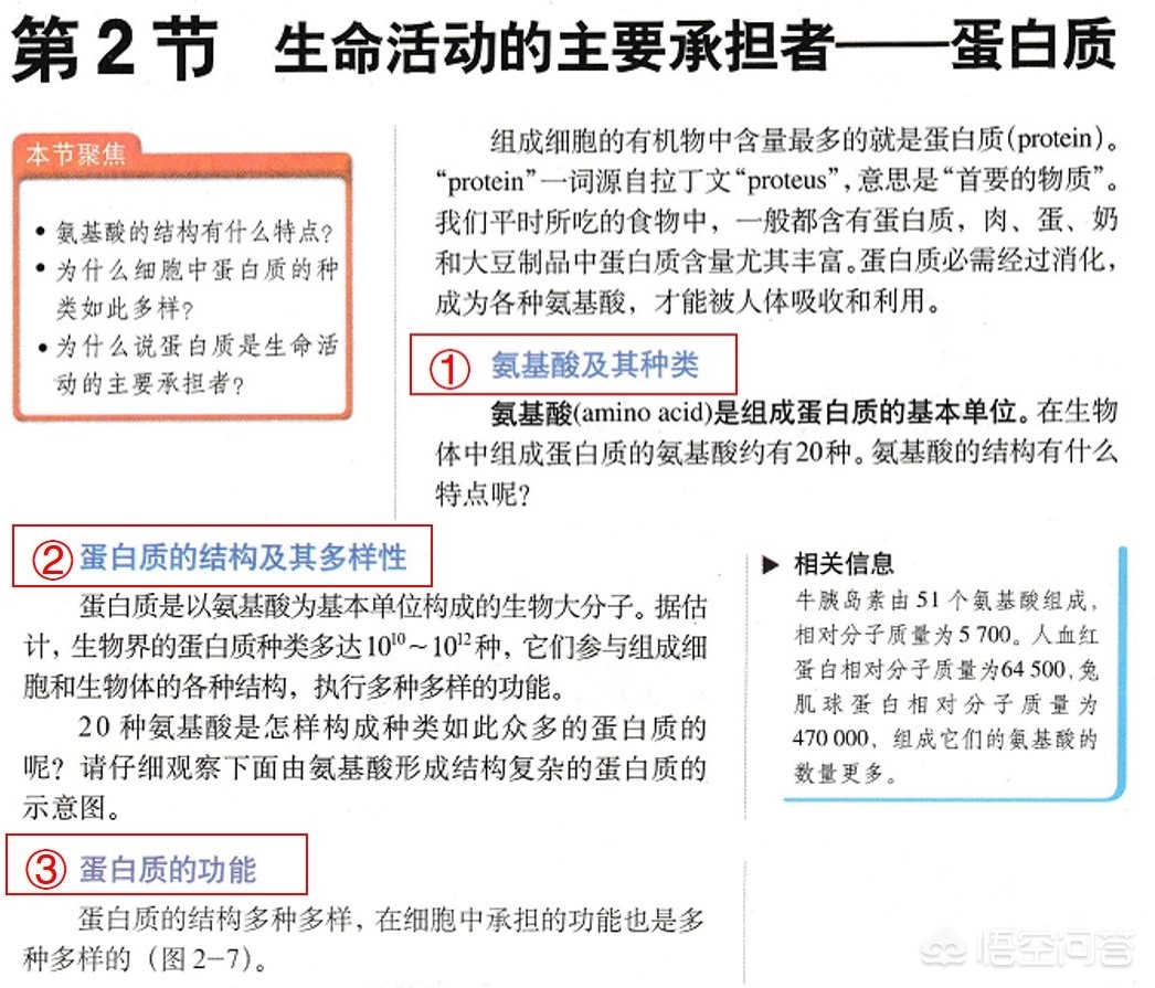 为什么高二生物学生学不懂,初中生生物听不懂怎么办