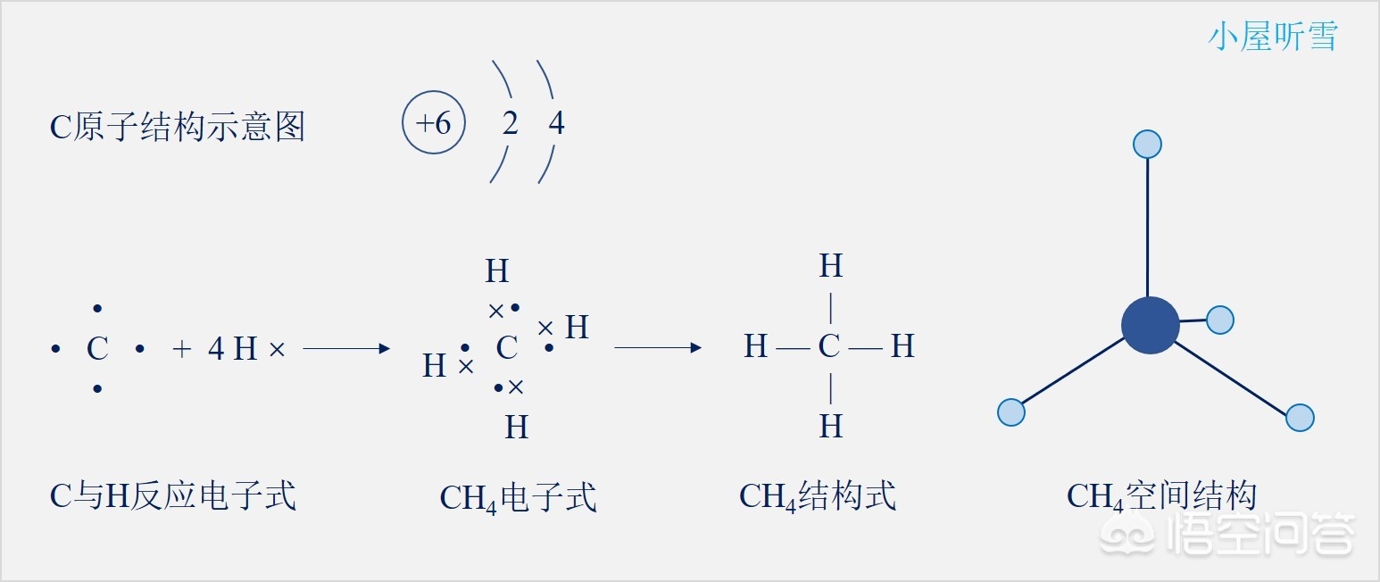 为什么高二生物学生学不懂,初中生生物听不懂怎么办