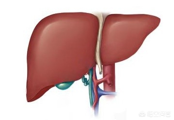 晚期肝癌的治愈率是多少,晚期肝癌的治疗好方法