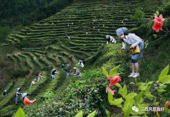 江西省奉新县旅游景点介绍视频,江西省奉新县旅游景点有哪些