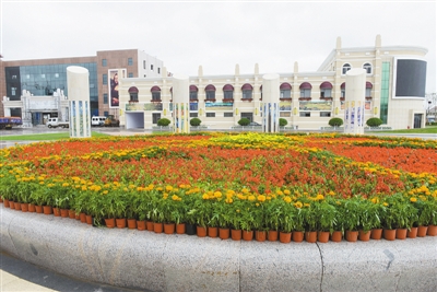 青岛最新建的开发区是哪个,青岛特色小镇