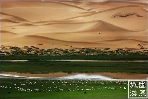 苍天圣地阿拉善规划图,带您走进苍天圣地阿拉善