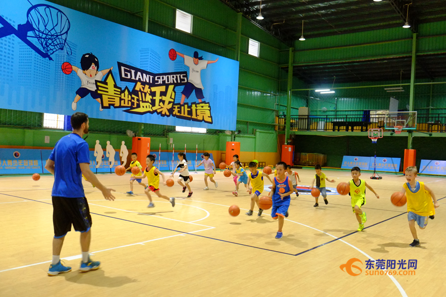 广东东莞篮球晨训,东莞篮球外教