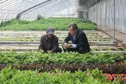 青岛最新建的开发区是哪个,青岛特色小镇