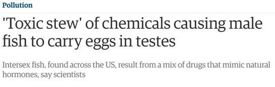 避孕药被排入下水道……英国有很大一部分鱼变性了……变性了……性了……