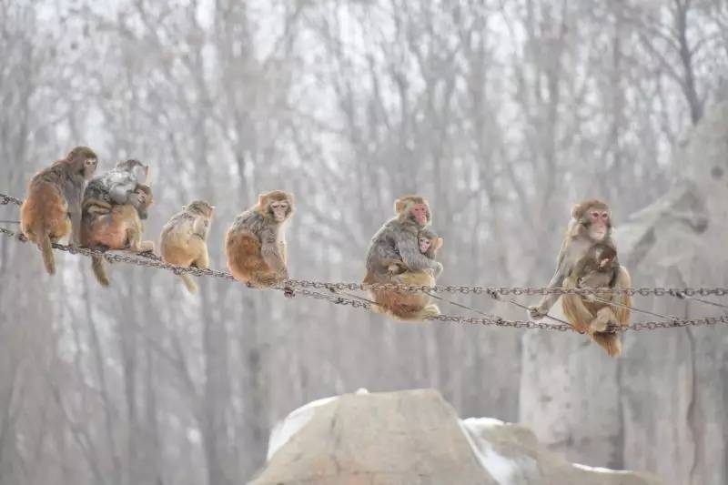 赏冰乐雪游龙江,赏雪玩冰之旅攻略