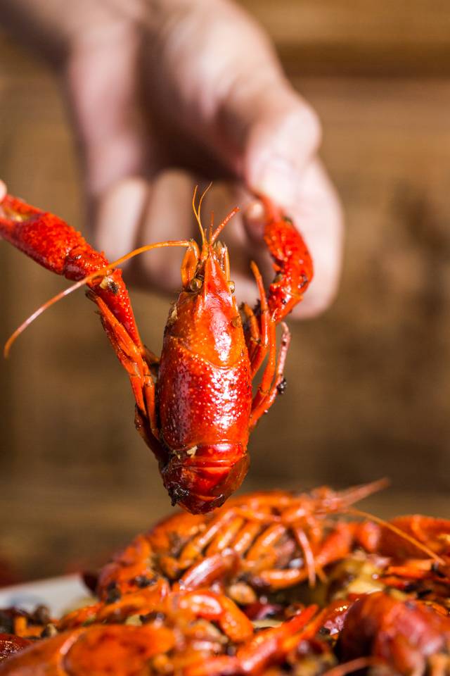 没有“马砂”怎么办？在白堤路这家天津范儿的“吃货大食堂”里，烧烤、火锅、麻小、炒海鲜可以轮番PK到清晨2点！