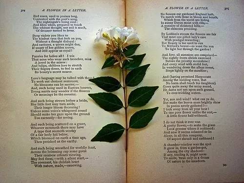 窦桂梅演讲全集,窦桂梅老师演讲全部视频