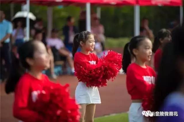 全国青少年校园足球联赛雨花台,雨花杯篮球赛
