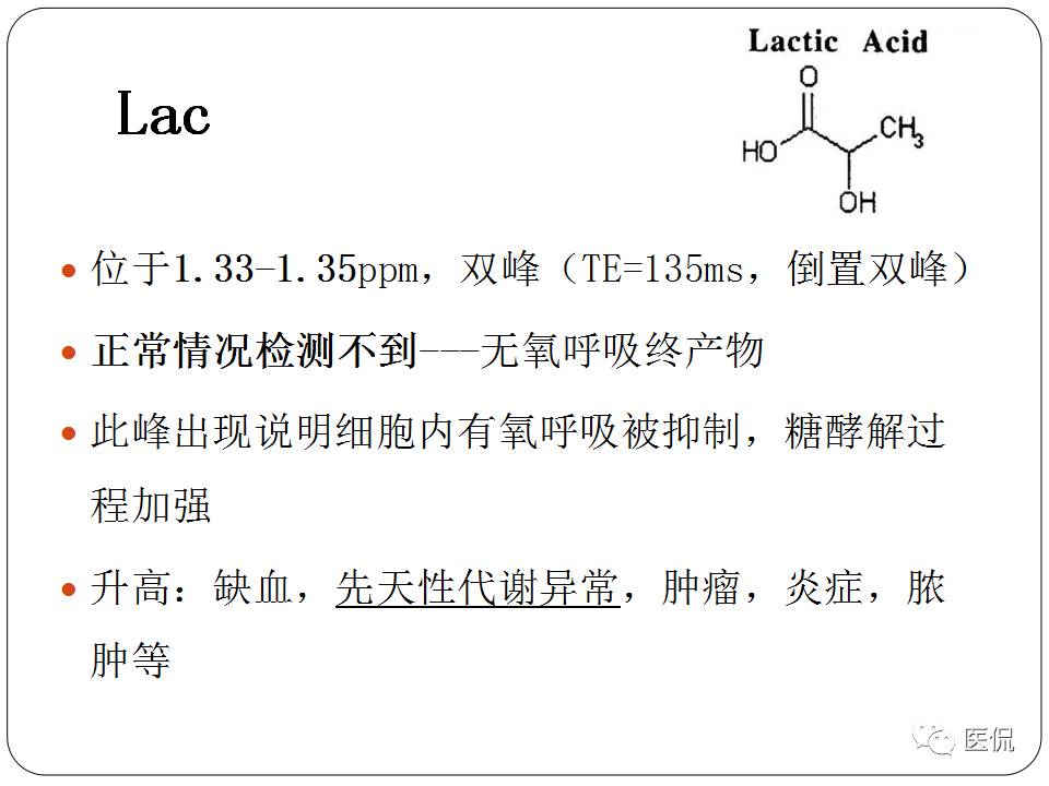 神经系统解剖ppt课件,神经内科课件ppt