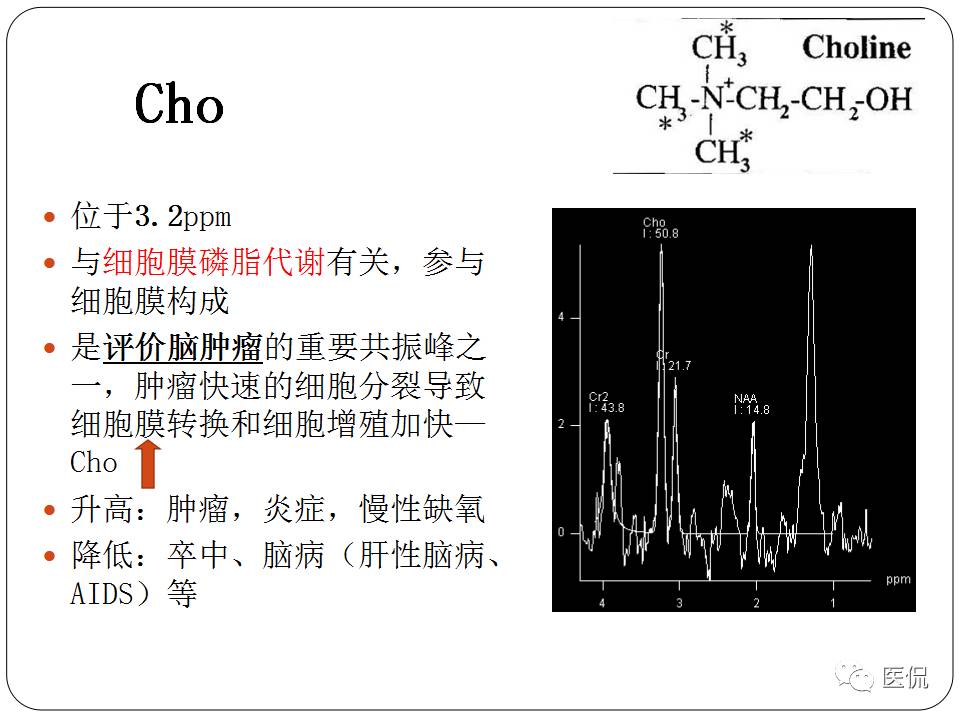 神经系统解剖ppt课件,神经内科课件ppt