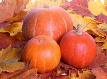 灏忔殤鑷崇洓澶忓杩欎簺椋熺墿娓呭噳娑堟殤,鍋氬悆鐡滅兢浼椾韩娓呭噳澶忔棩