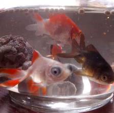 故事丨宝宝出生的那一天，我经历了什么？