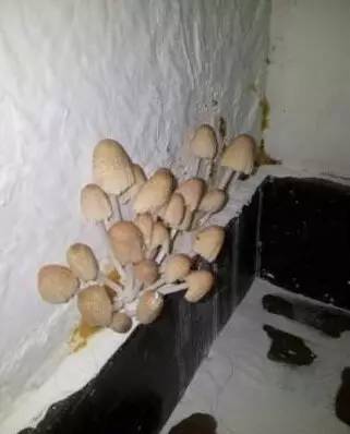 东台人，你的这个周末真的泡汤了！