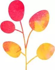 疏肝理气的饮食调理,疏肝理气健脾胃补气血