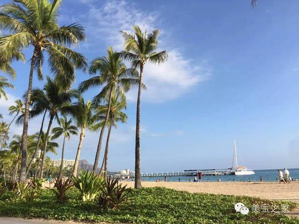 在美国提倡剖腹产手术吗,中美剖腹产有什么不同