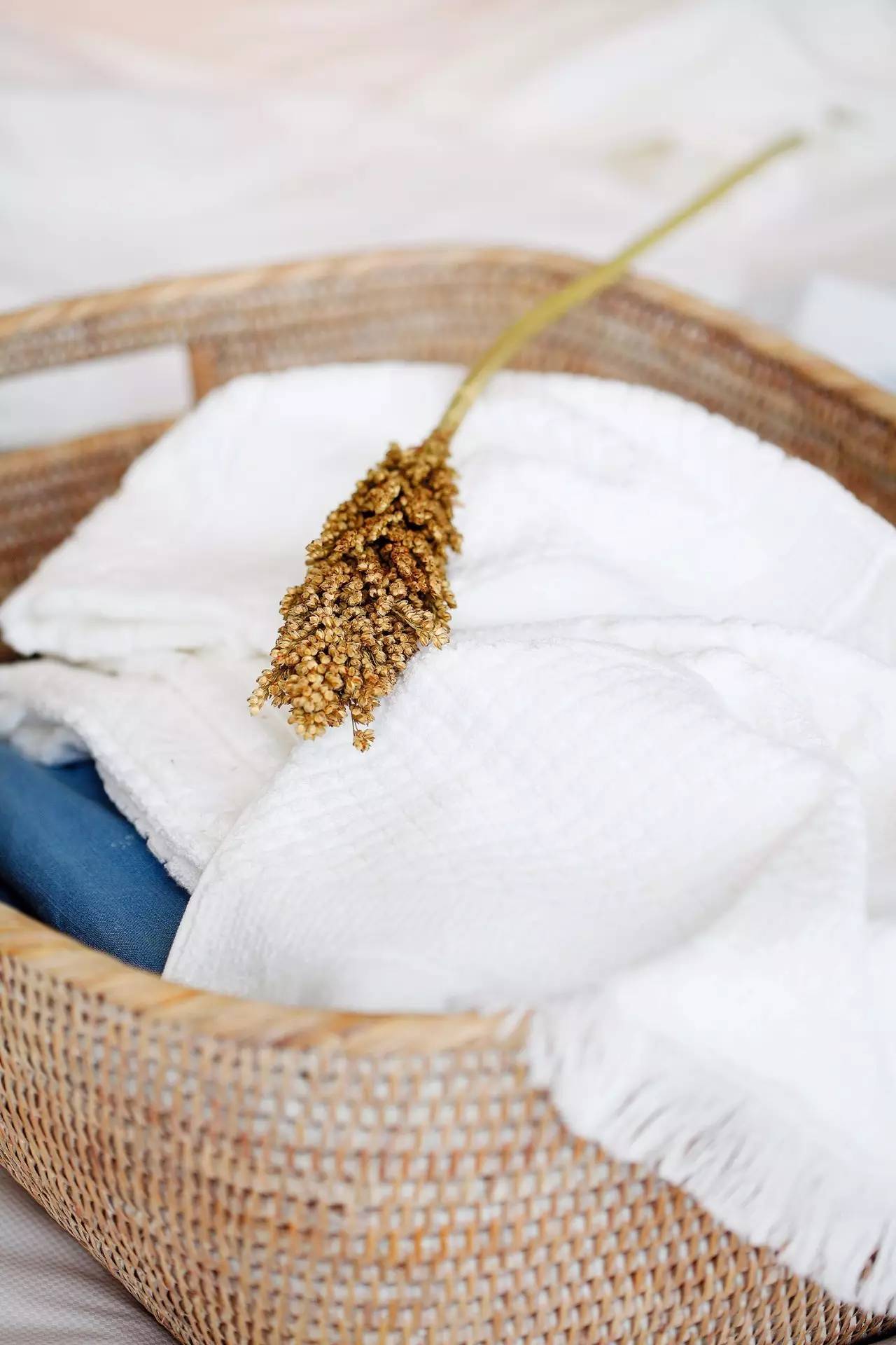 永续护衣：自有米饭柠檬牛奶来对付污渍油渍口红渍